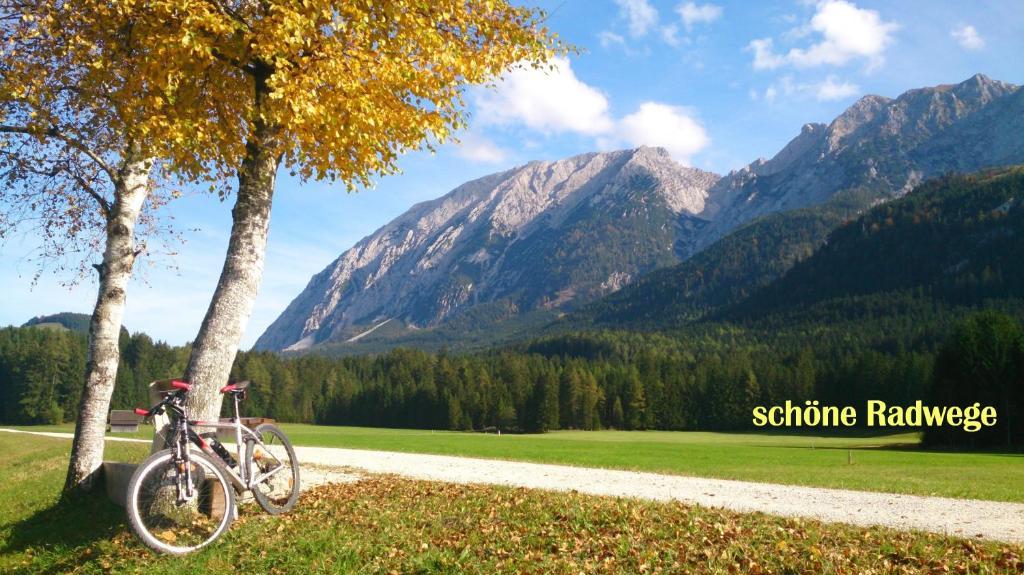 Ferienhaus Anke - Ausseerland Salzkammergut Pichl bei Aussee Buitenkant foto
