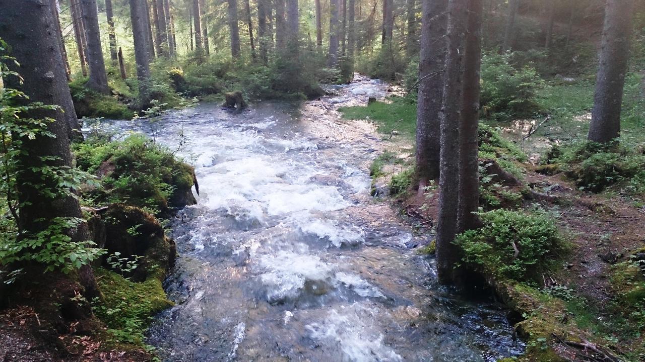 Ferienhaus Anke - Ausseerland Salzkammergut Pichl bei Aussee Buitenkant foto